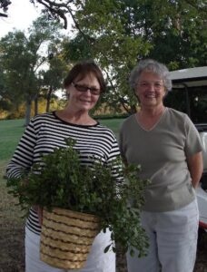 Mistletoe Hunting Image